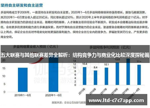 五大联赛与其他联赛差异全解析：结构竞争力与商业化比较深度探秘篇